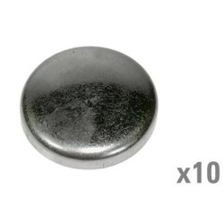 Šerdies kištukas (x10) VPC4606