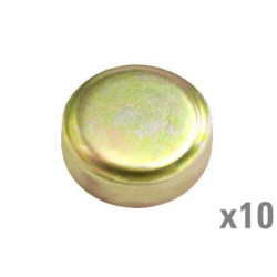 Šerdies kištukas (x10) VPC4604