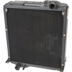 Radiatorius 3808159M3N