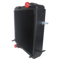 Radiatorius 3808159M3N