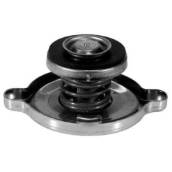 Radiatoriaus dangtelis VPE3204