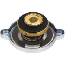 Radiatoriaus dangtelis H816200050090N