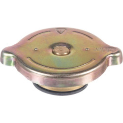 Radiatoriaus dangtelis V30247600