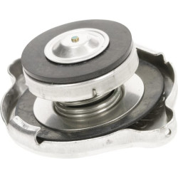 Radiatoriaus dangtelis CNH 82834117