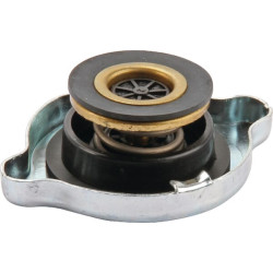 Radiatoriaus dangtelis 0006592221