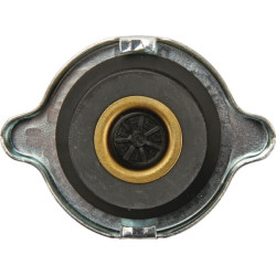 Radiatoriaus dangtelis 0006592221