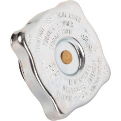 Radiatoriaus dangtelis 3679341M1