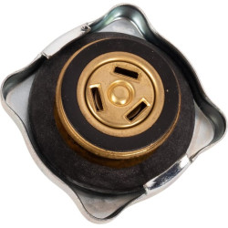 Radiatoriaus dangtelis 3679341M1