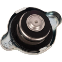 Radiatoriaus dangtelis 001031180