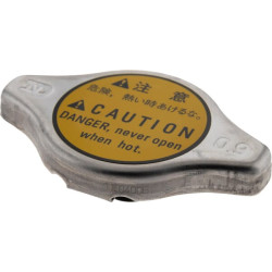 Radiatoriaus dangtelis 1758016060