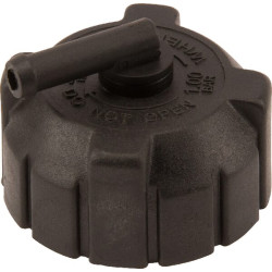 Radiatoriaus dangtelis 4356380M1