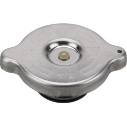 Radiatoriaus dangtelis V31679810