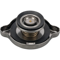 Radiatoriaus dangtelis V31679810