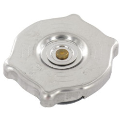 Radiatoriaus dangtelis CNH 87558952