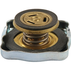 Radiatoriaus dangtelis 6005031348