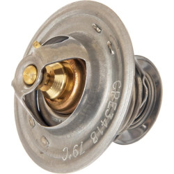 Termostatas VPE3418