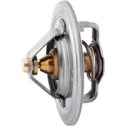 Termostatas, SW 400 2690TW20
