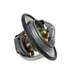 Termostatas VPE3451