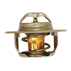 Termostatas F339552070040N