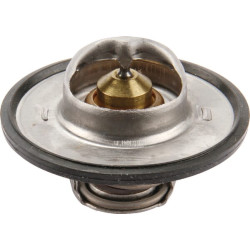 Termostatas 0011381470