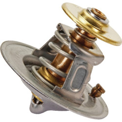 Termostatas 6005031321