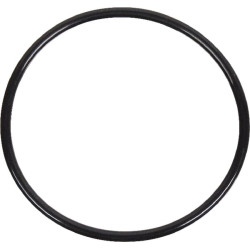 Termostato tarpiklis 4222848M1