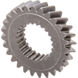 Pavaros pavara 5107715N