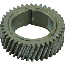 Pavaros pavara 4680071