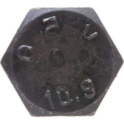Varžtas CI125229