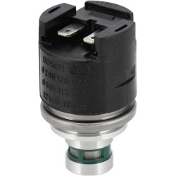 Solenoidinis vožtuvas 0501313374