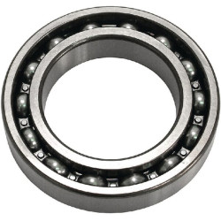 Kardaninio veleno guolis VPJ2744