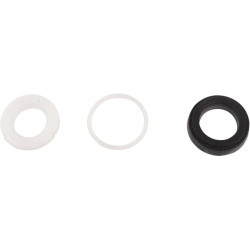 Viton Seal 79009374N