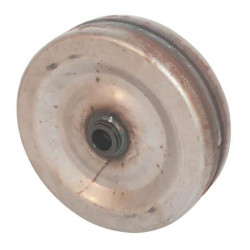 Plieninis ratas 250x100 BW250100N