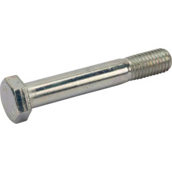 Varžtas BPW 0334011080