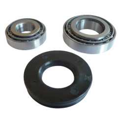 Guolių komplektas AH11248