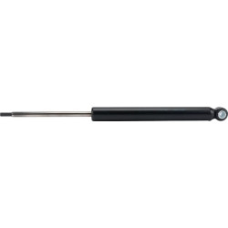 Amortizatorius 200S-SR/A 20717303