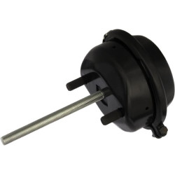 Diafragmos cilindras Tipas 24 4231069000