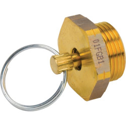 Vandens apsauginis vožtuvas 315019031