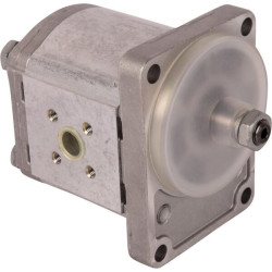 Hidraulinis siurblys 02030425