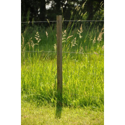 Tvoros stulpas Mediena 150cm x 38mm ruda Gallagher 007601GAL