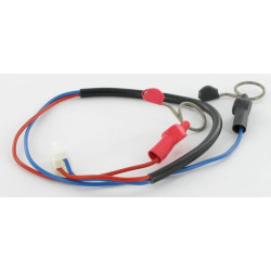 Jungiamasis laidas 12V AKO E263616