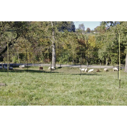 Avių tinklas, 105cm 27200