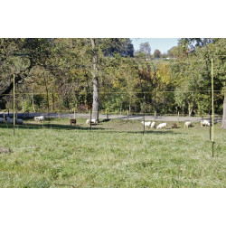 Avių tinklas, 105cm 27200