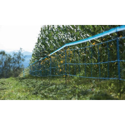 Signalinė juosta Wildnet Blue 250m 27240
