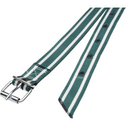Apykaklė 130x4 cm žalia ir balta Standartinis 803016KR