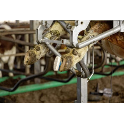 Technobase 2CB kasetė 210 ml, formulė 2018 16282