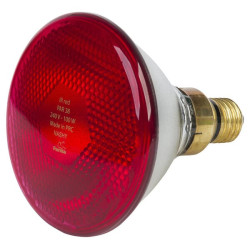 Infared šviesa, 175W, 230V, raudona, Farma 802008FA