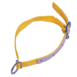 Halsriemen gelb 60cm VV2710