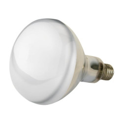 Infraraudonųjų spindulių lempa 250W skaidri 22252KER