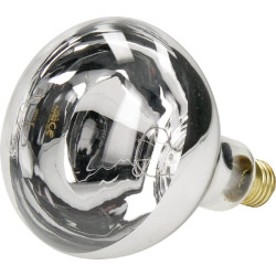 Infared šviesa, 250W, balta, Farma 802002FA